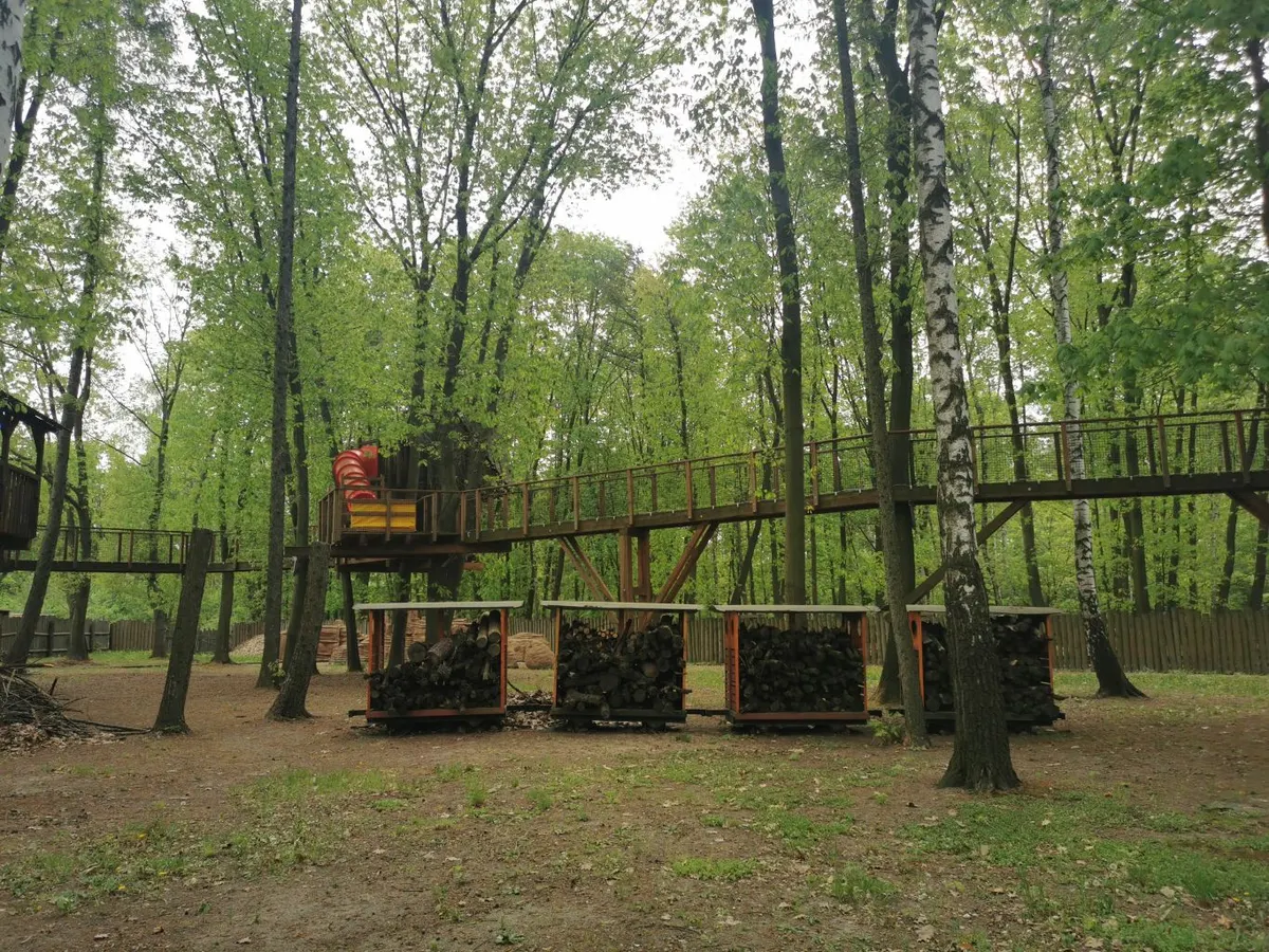 Domki na drzewach