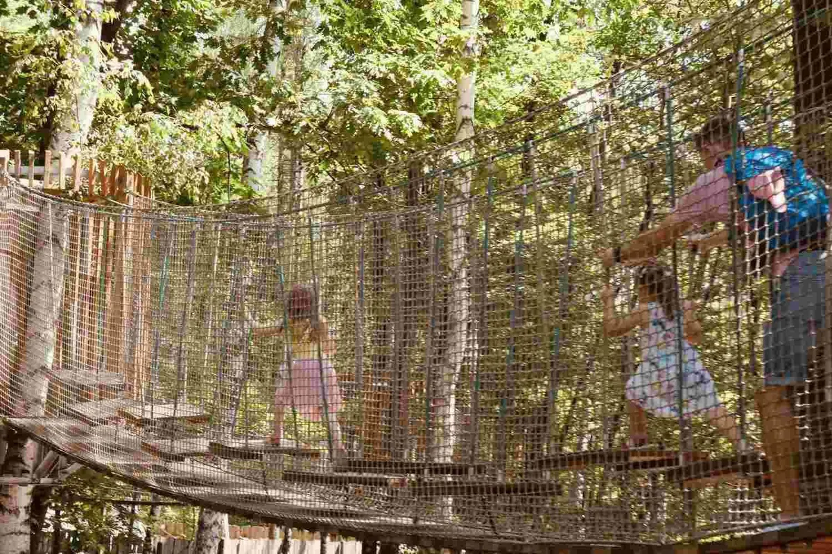 Edukacyjny park linowy