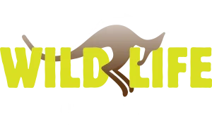 Wild Life Sydney