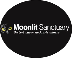 Moonlit Sanctuary