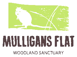 Mulligans Flat
