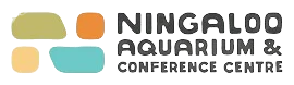Ningaloo Aquarium