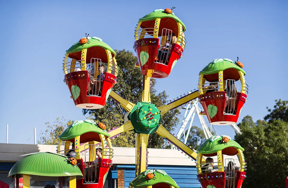 Berry Ferris Wheel