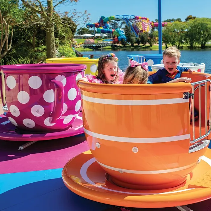 Tea Cups