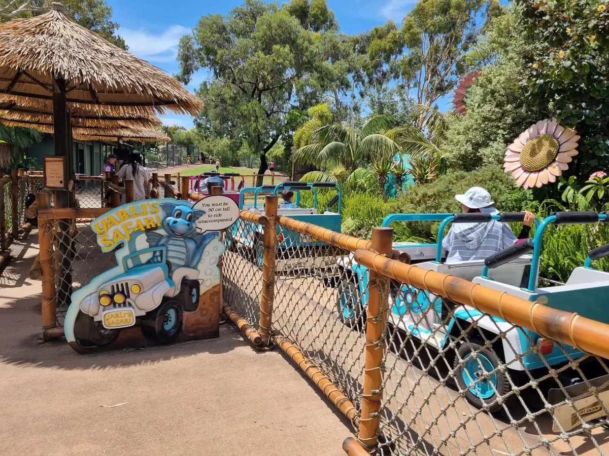 Yarli’s Safari