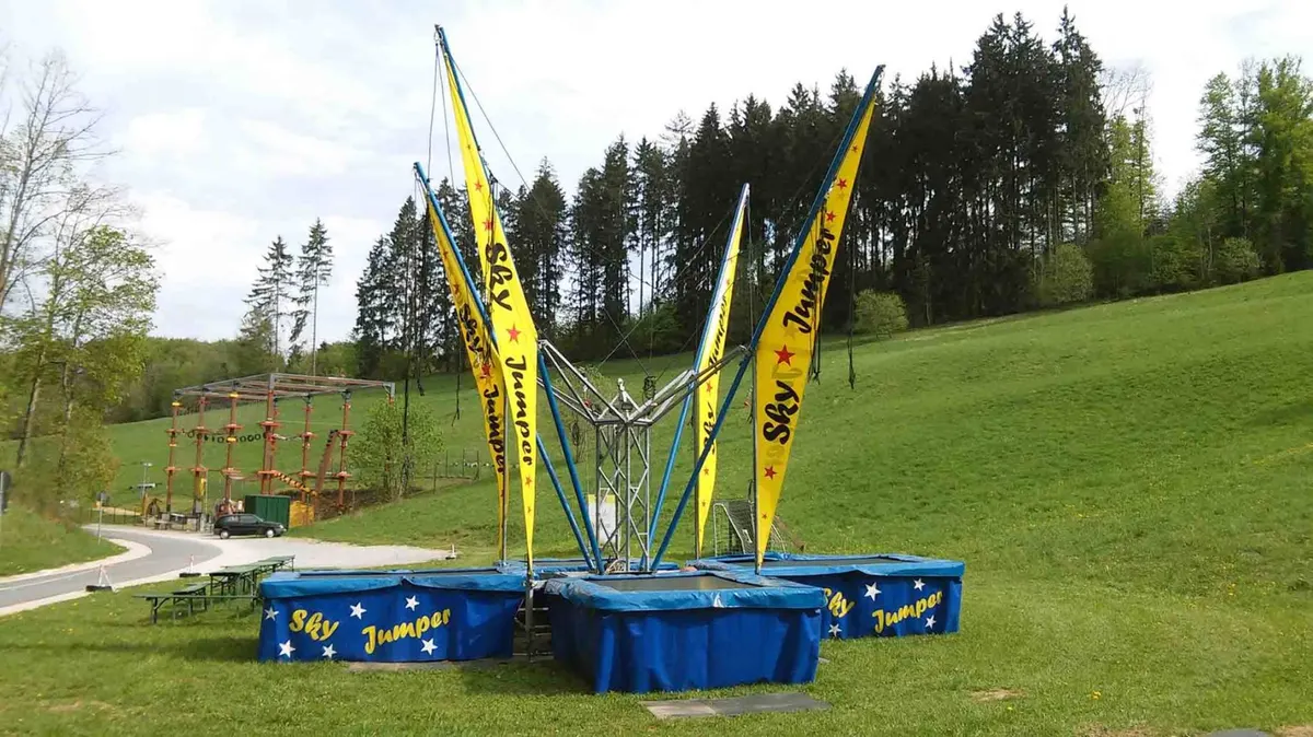 Bungee Trampoline