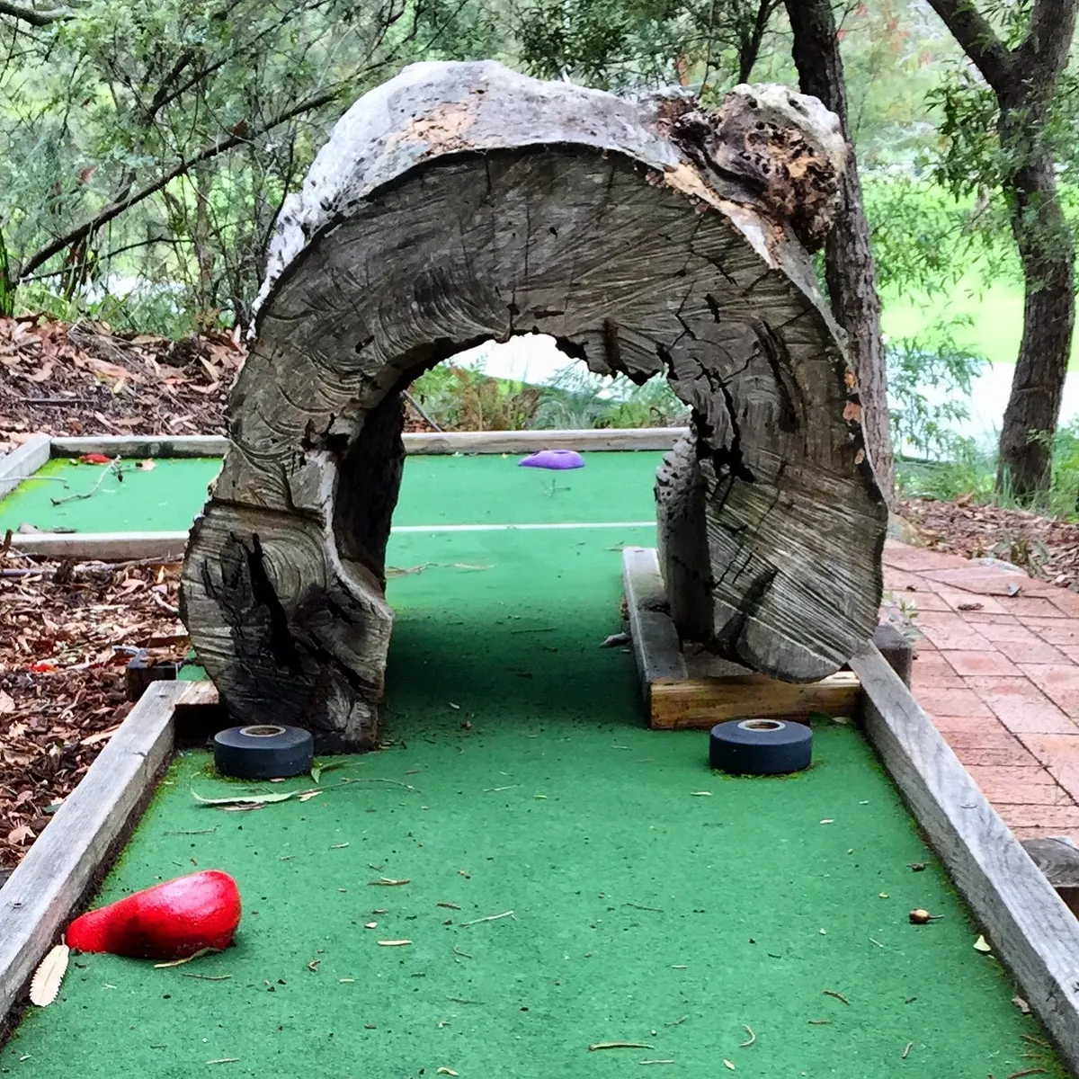 19-Hole mini putt putt golf