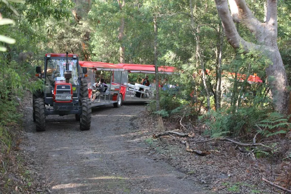 Tractor Train ride