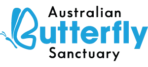 Australian Butterfly Sanctuary