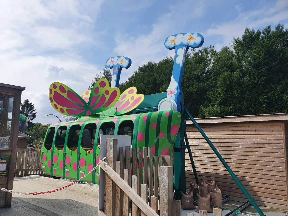 Crazy Butterfly