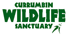 Currumbin Wildlife Sanctuary