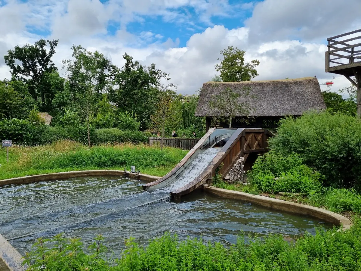 La rivière des chèvres