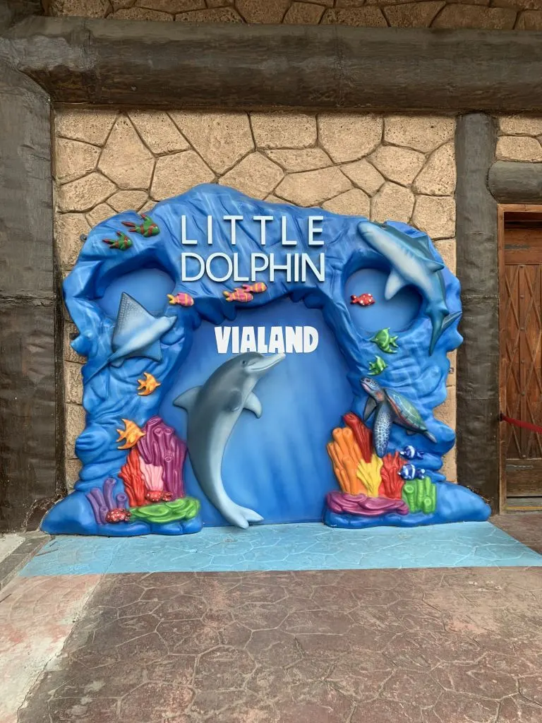 Little Dolphin