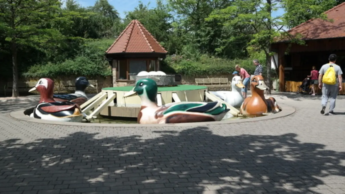 Enten-Wasserfahrt