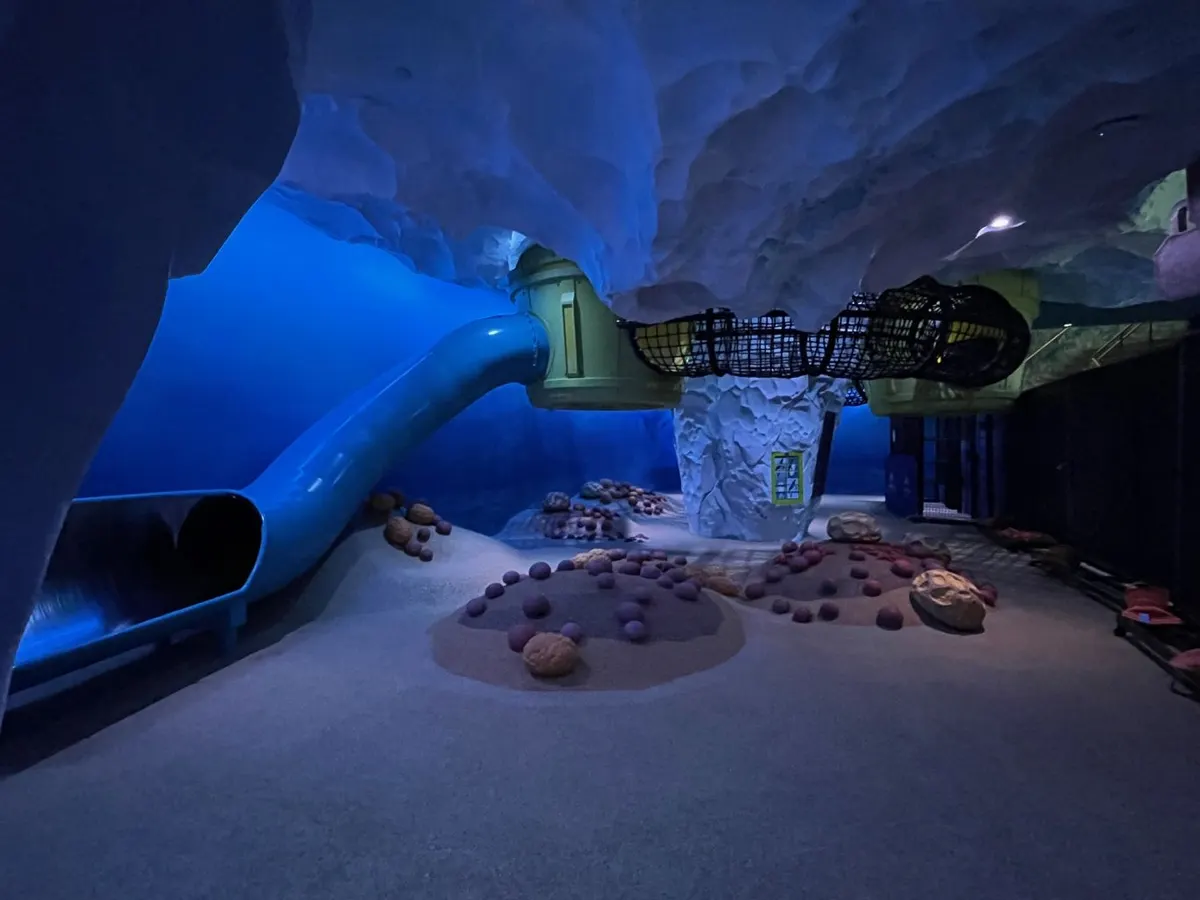 Penguin Play
