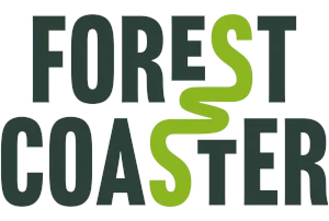 Forrest Coaster