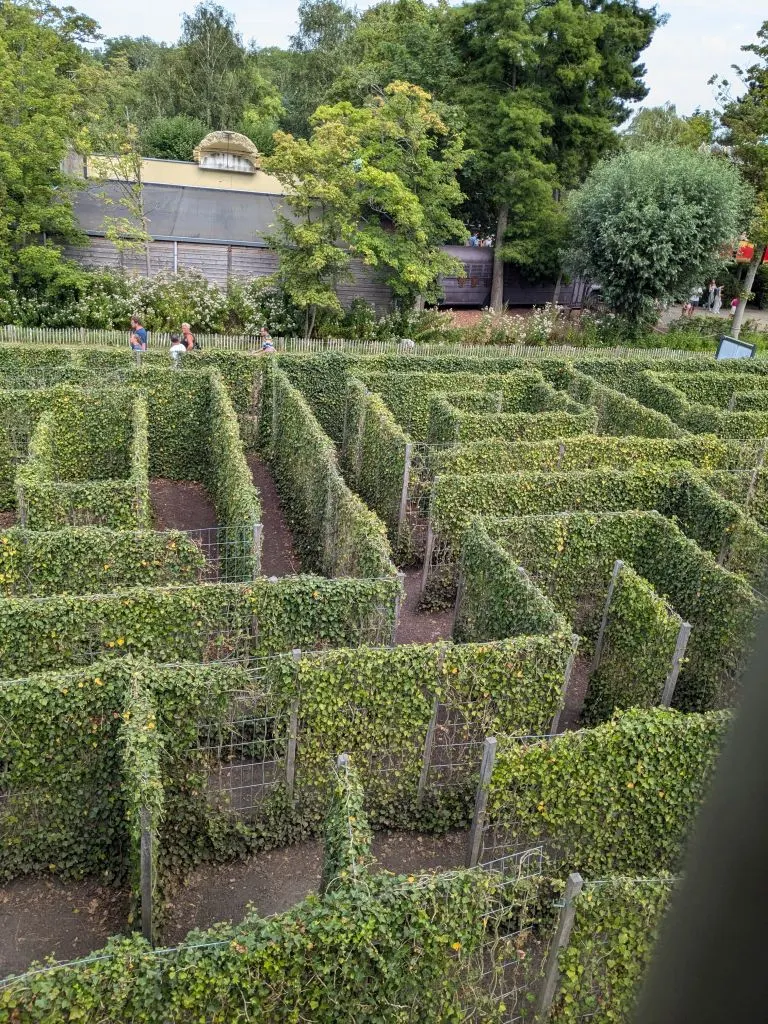 Doolhof