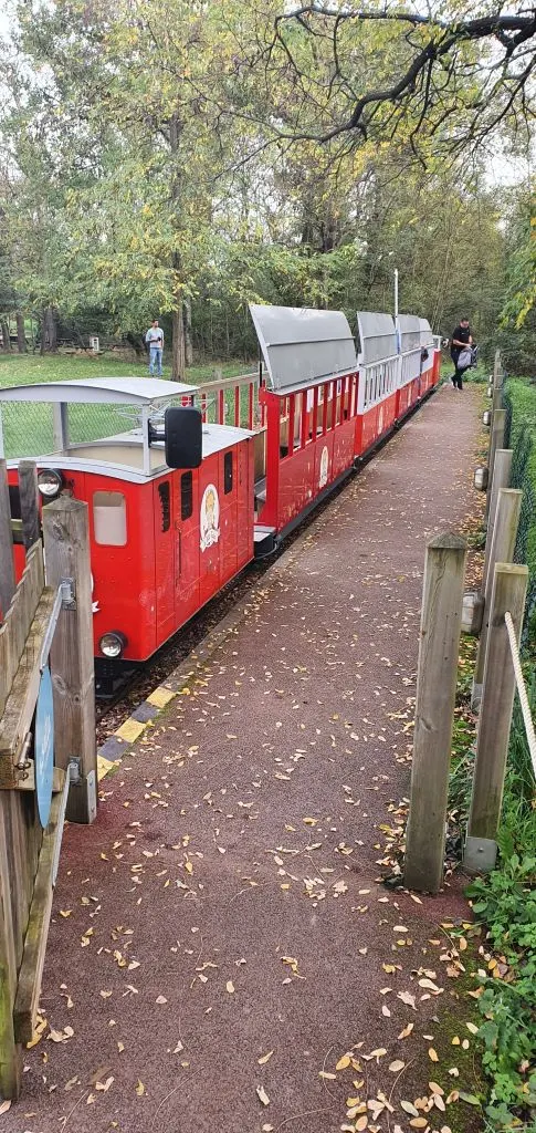 Le Petit Train