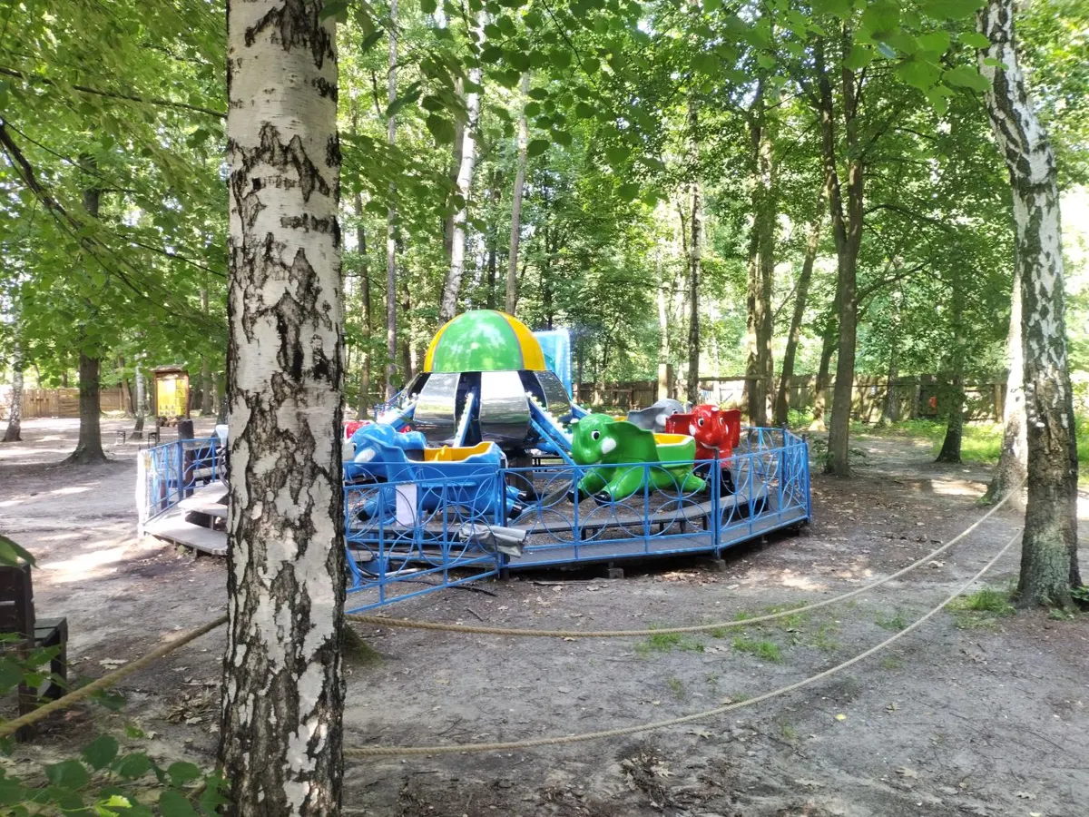 Wirujące Biedronki