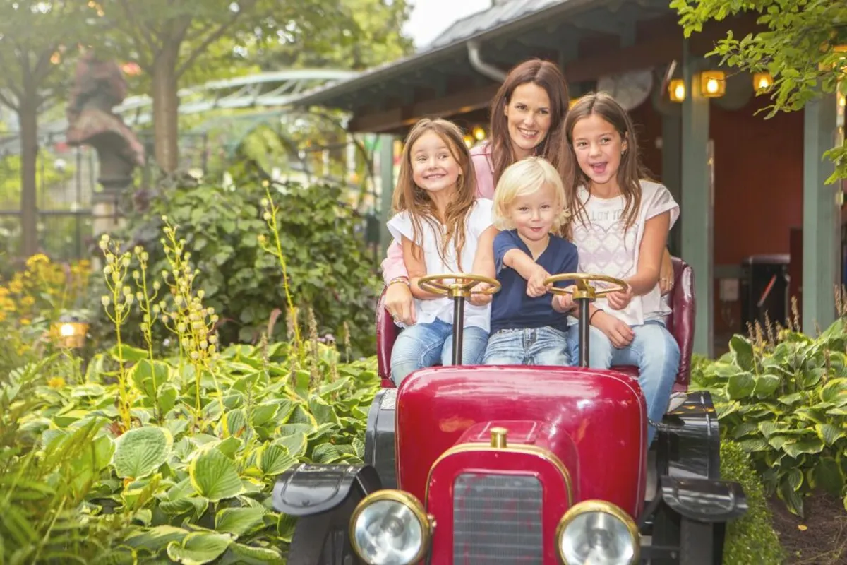 Veteranbilarna