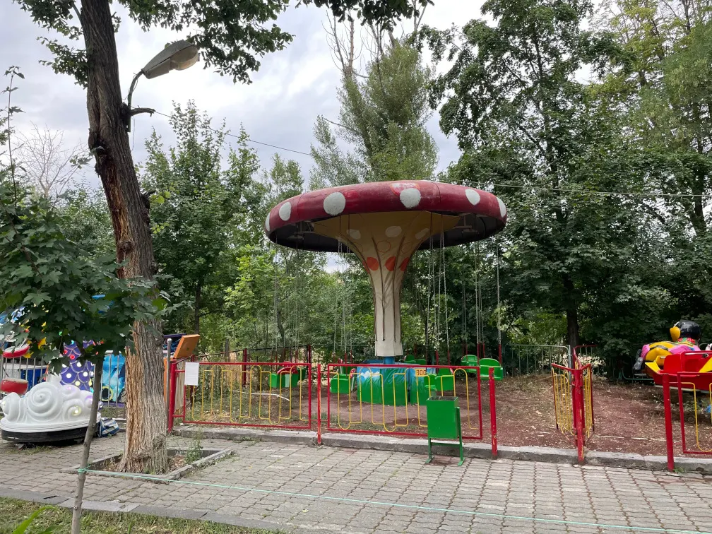 Pilz / Սունկ