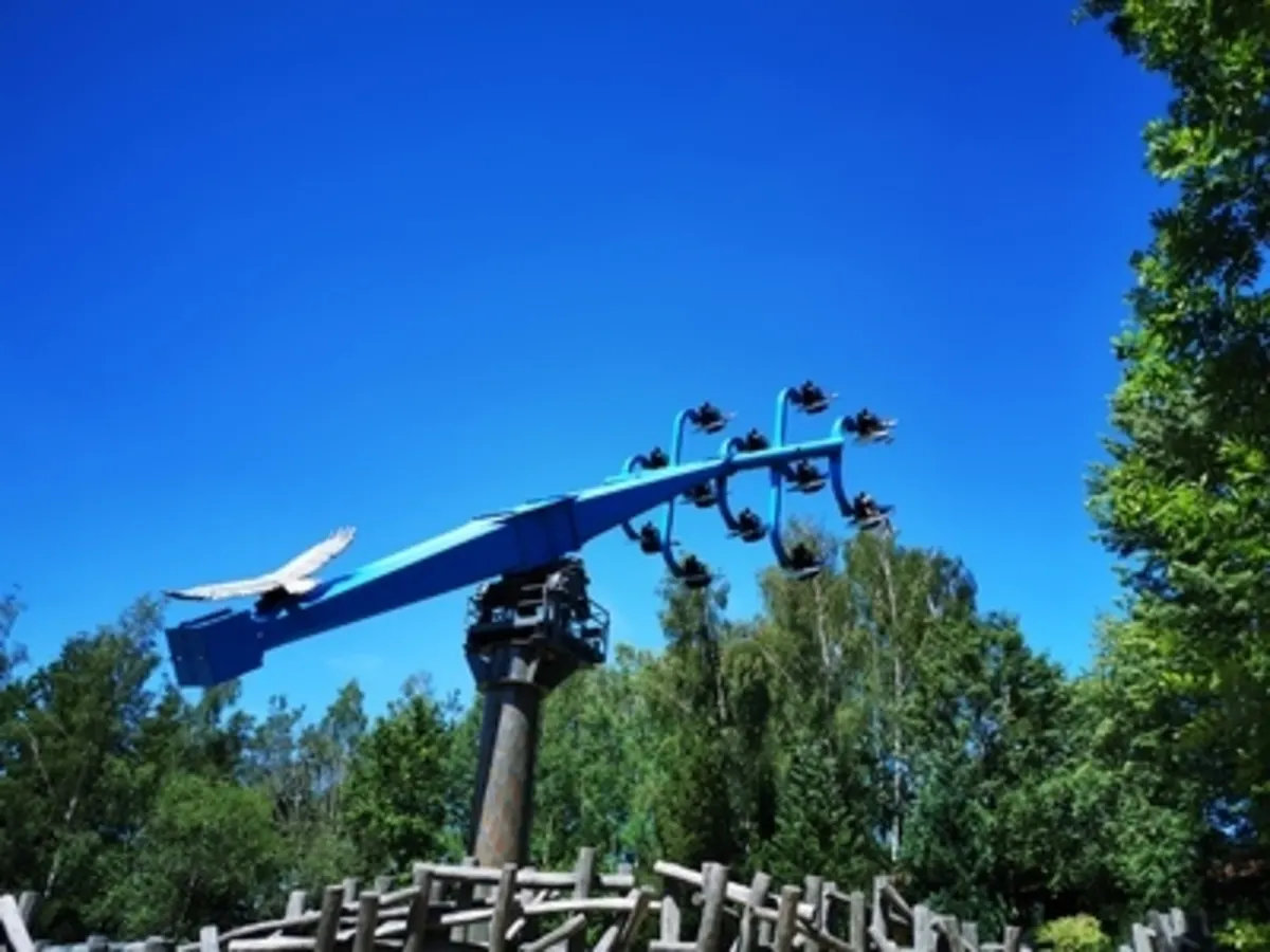 Duell der Adler