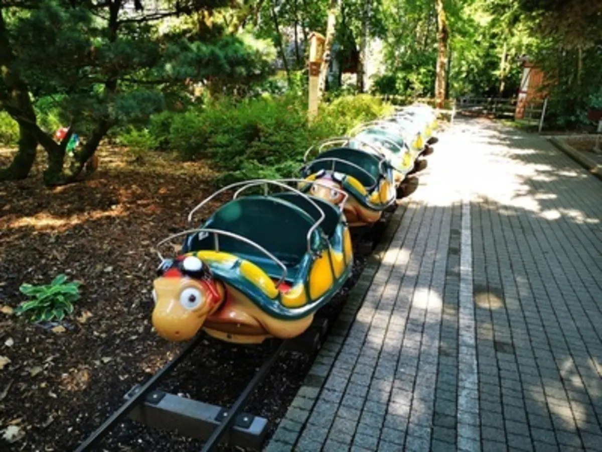 Schildkrötenbahn