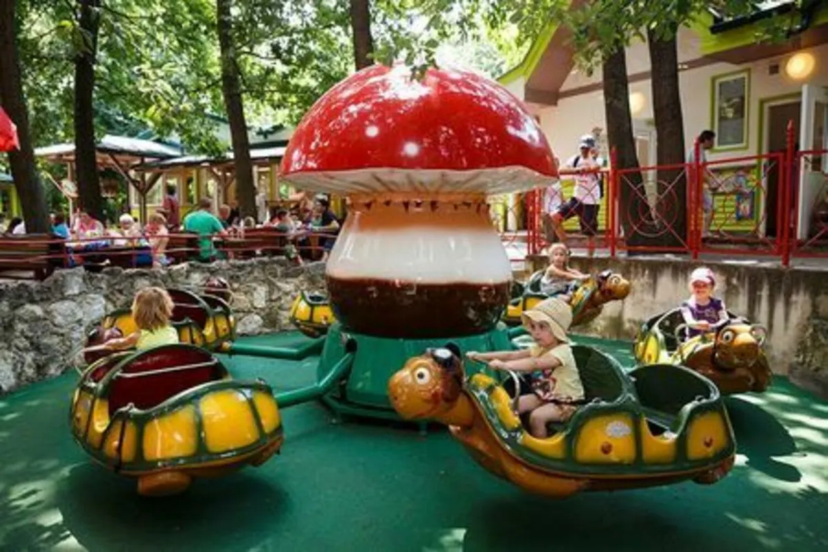 Schildkrötenkarussell