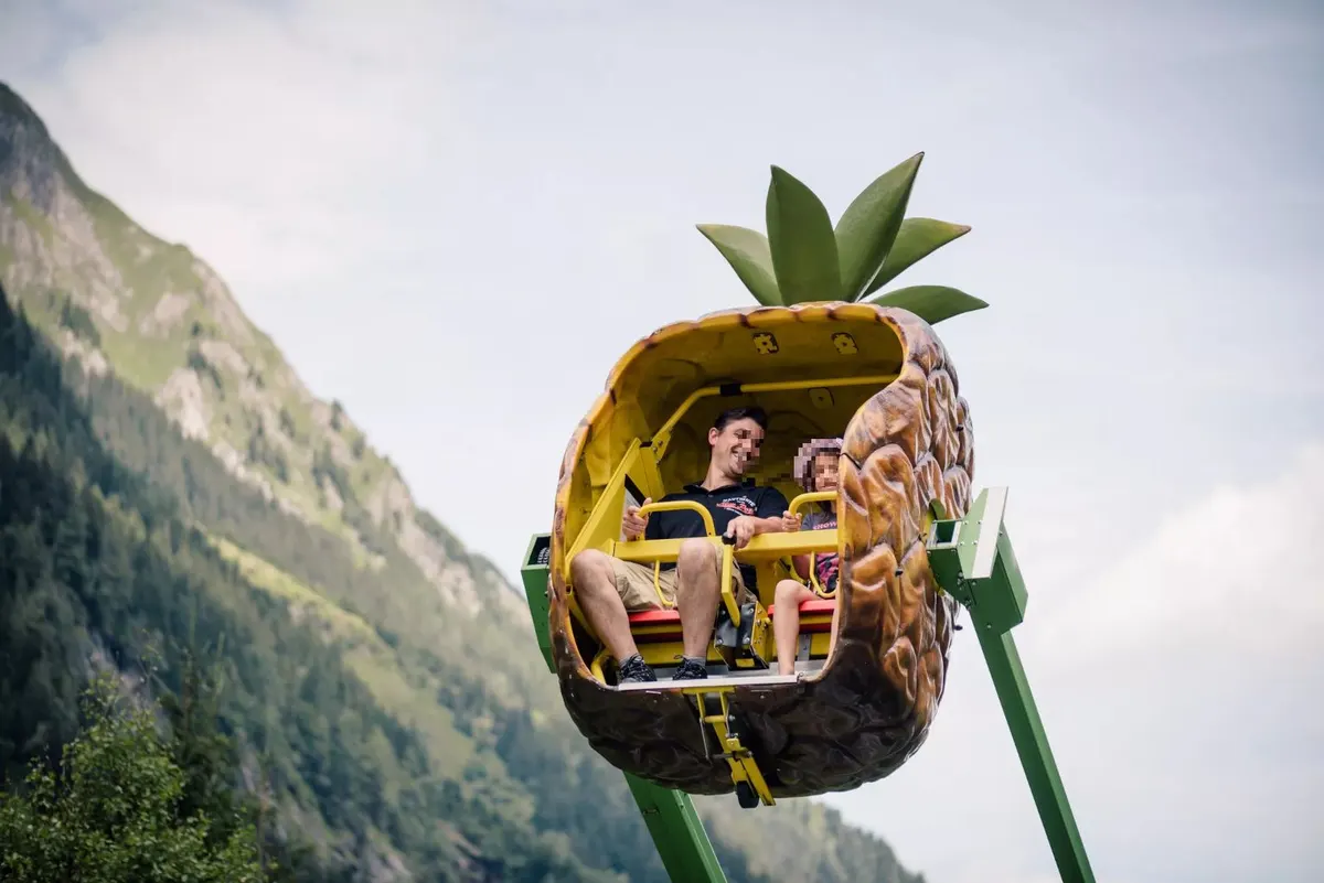 Jungle Loop