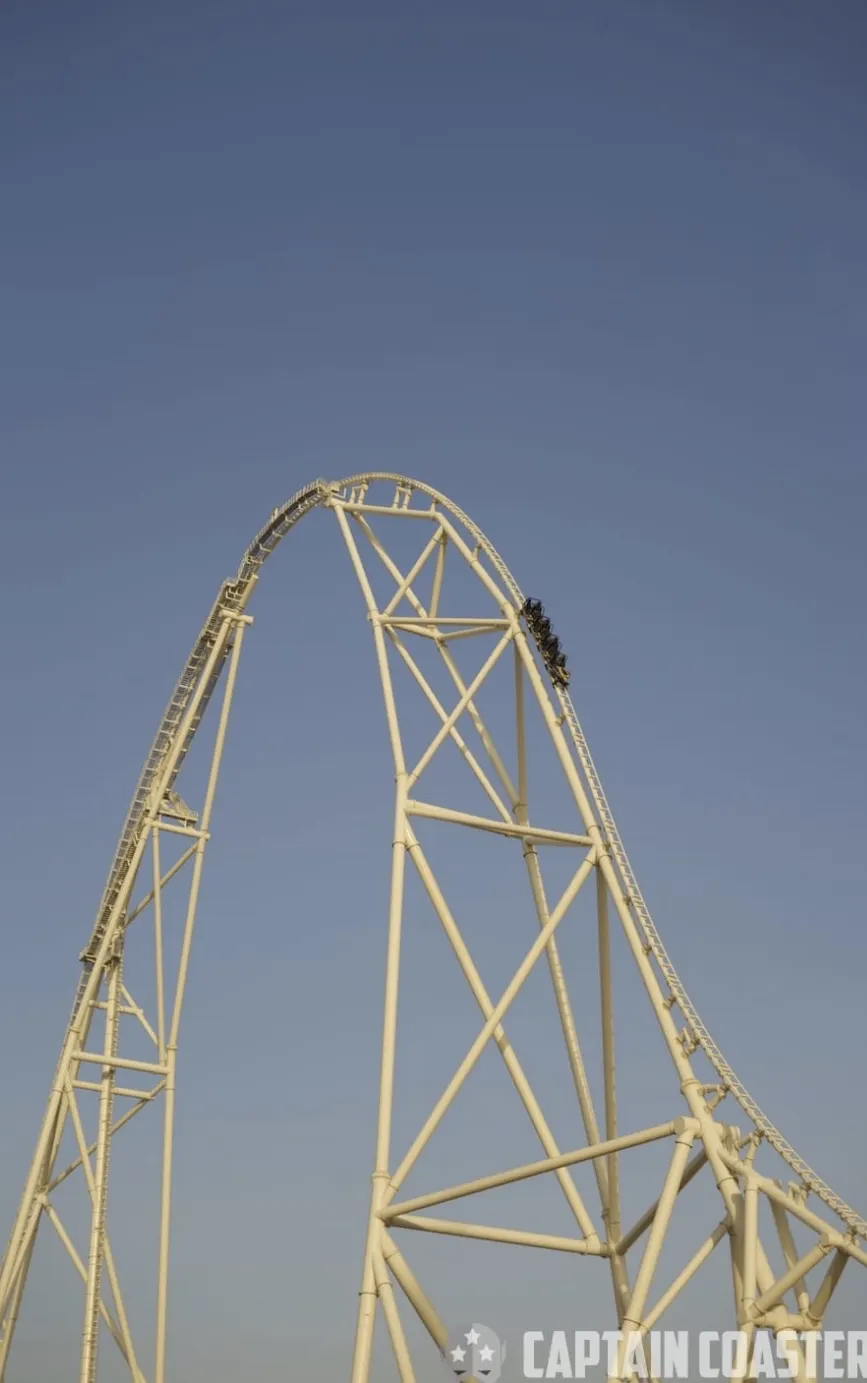 Falcons Flight