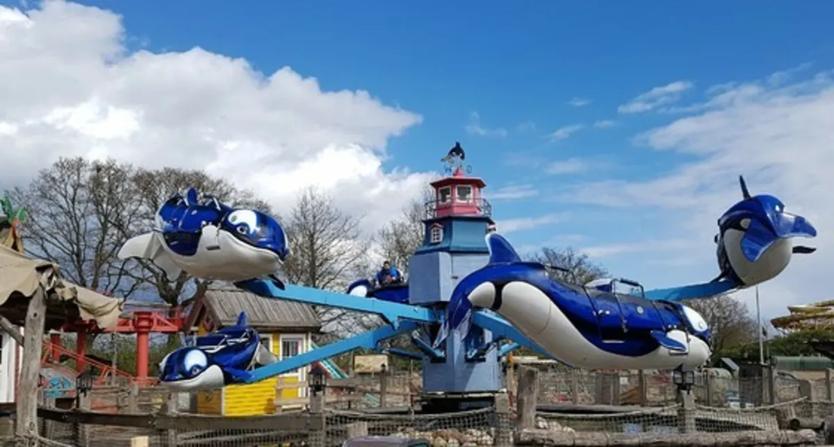 Flying Orcas