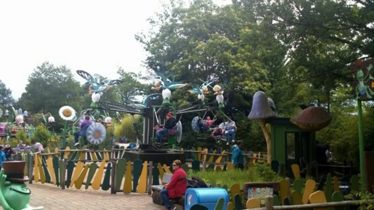 Schmetterlingsflug