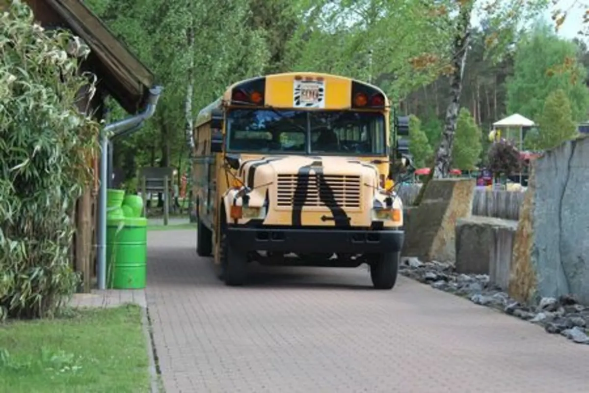 Safari-Bus