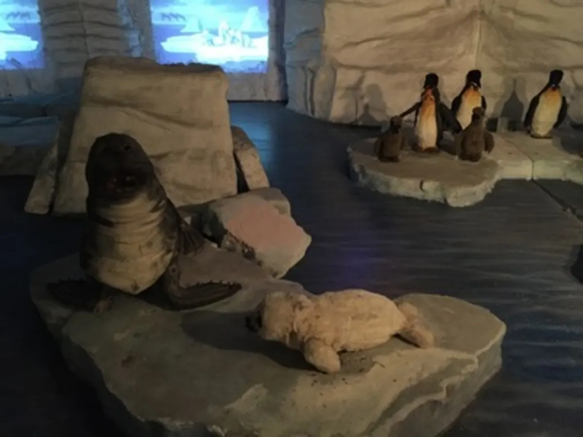 Eiswelt