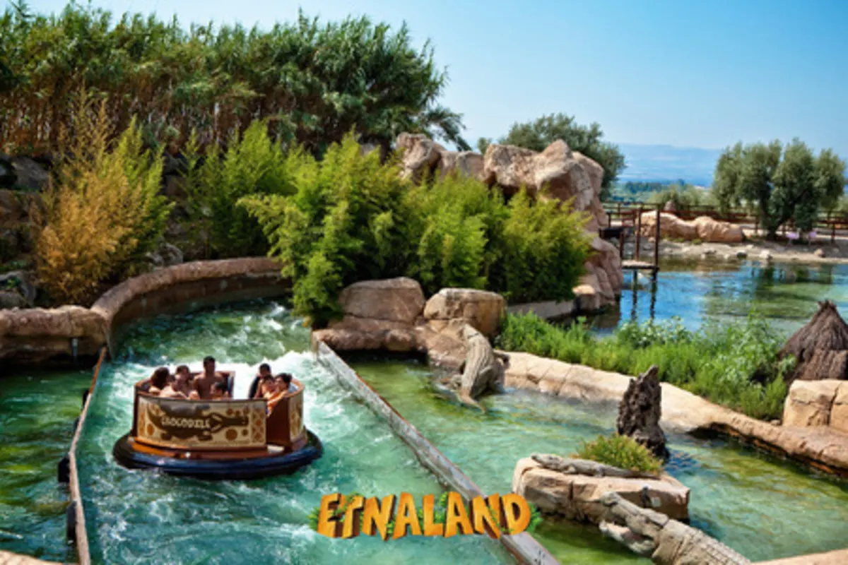 Crocodile rapids