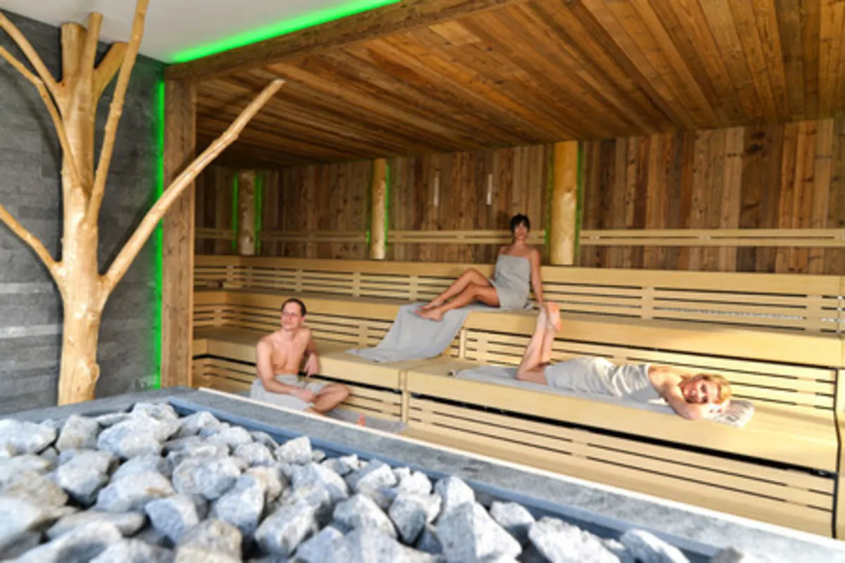 Donau-Wald-Sauna