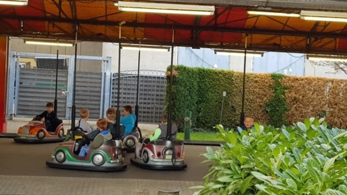 Mini Scooter
