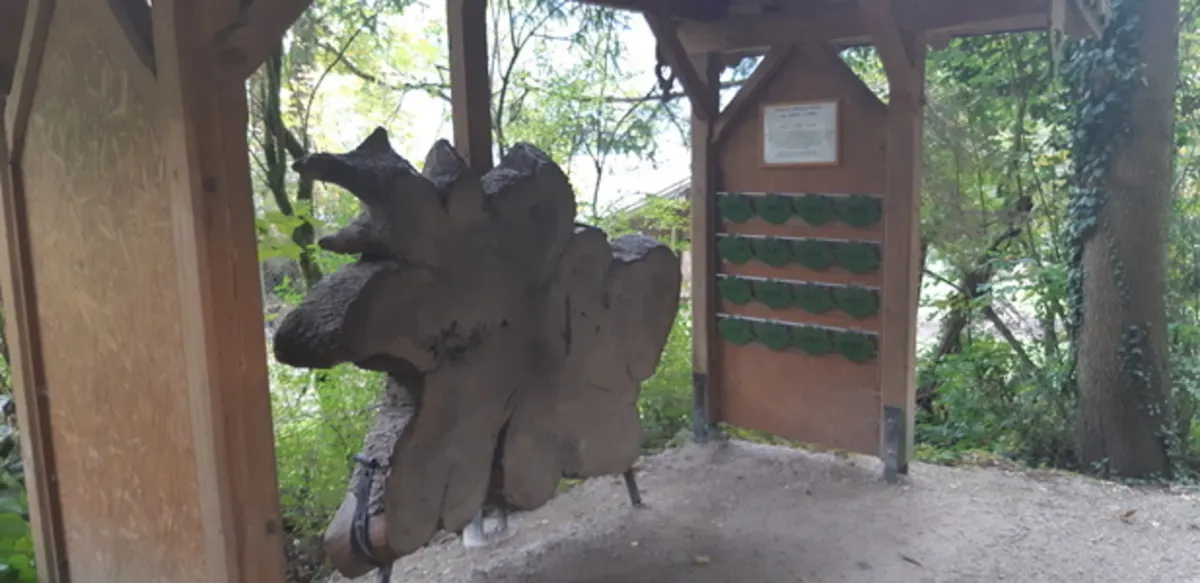 Riesen-Baumscheibe