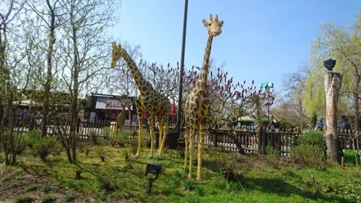 Safari Tour