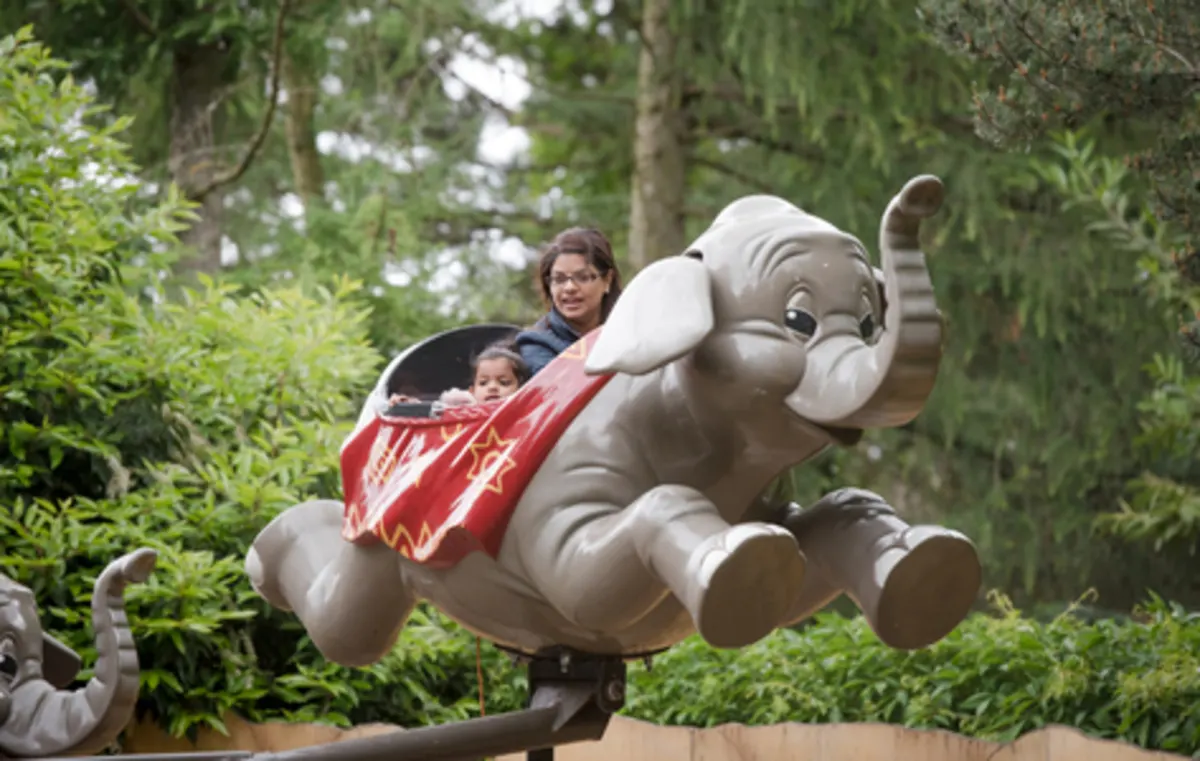 Elmer's Flying Jumbos