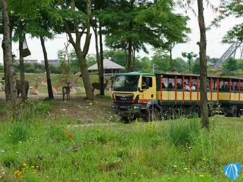 Serenga Safari - Wildlands