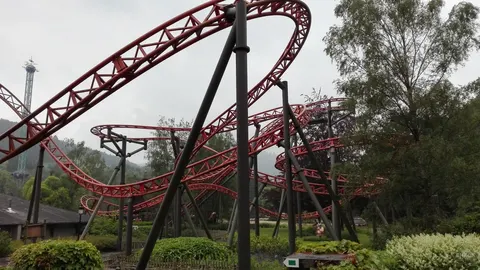 Vicky - The Ride