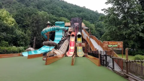 Dino Splash