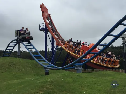 The Cobra & The Edge