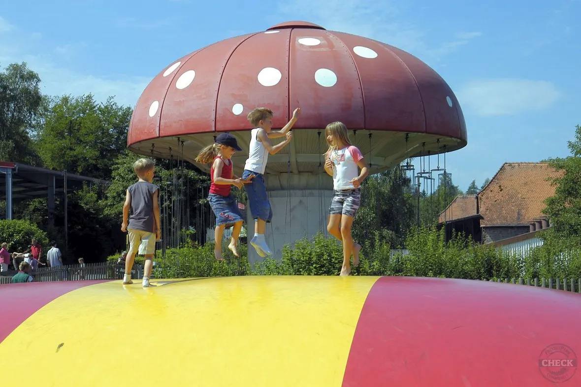 Riesensprungkissen