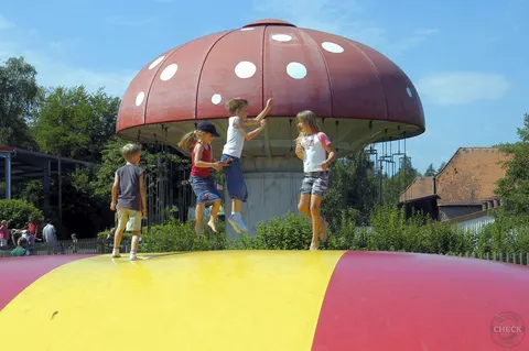 Riesensprungkissen