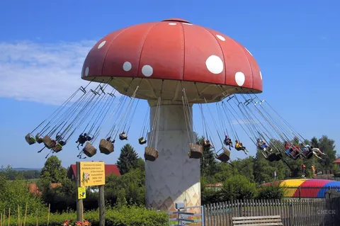Fliegenpilz