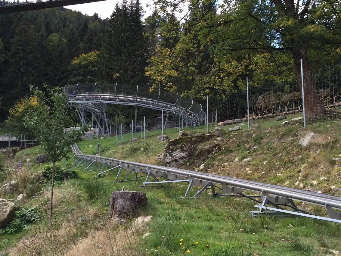 Alpinecoaster