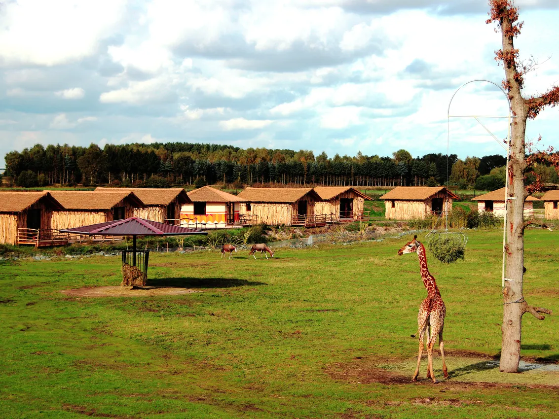 Masai Mara Lodges (Foto: Serengeti-Park)