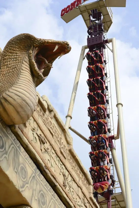 Cobra
